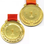 감사패 상패 매달 상장 케이스 금메달 은메달 동메달 우승 : 살림에는 살림엔