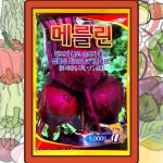 비트씨앗 메를린 5000립 교배종비트종자 : 삼대씨앗