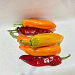 롱스위트파프리카 트리밸리파프리카 (1kg,2kg) 바나나파프리카 가락시장 직배송 푸르름팜 : 푸르름팜