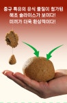 한딩낚시용품 | 한딩낚시 성공상안 고단백 소황면 1500g : 한딩피싱