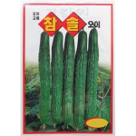참솔 오이 씨앗 채소 종자 야채 채소씨 종자 50알 : 가람원