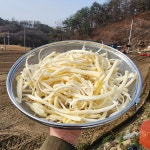 도라지 깐 채도라지 통도라지 당일손질 국산 500g : 우가네농장