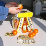 캡슐 뽑기 럭키박스 용돈상자 생일 개업 어버이날 명절 선물 서프라이즈 게임 이벤트 돈벼락 : 마켓썬샤인