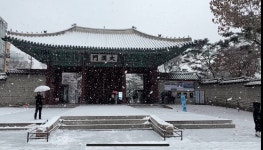 덕수궁 투어 달빛 : 너랑나랑우리문화