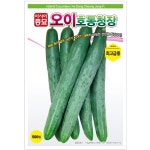 오이호동청장 500립 씨앗 흑침오이 유기농야채 텃밭 주말농장 베란다야채키우기 아시아종묘 : 늘품씨앗