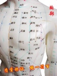 침술 혈자리 모형 한의원 인체 사람 60cm 및 뜸 모델 경락 포인트 영문 설명서 포함 반사 영역 : 워터키
