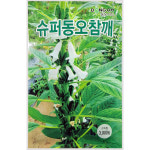 [모종심는아빠] 유지함량이 많고 역병에 강한 다수확 품종 슈퍼동오참깨 종자3000립 : 모종심는아빠