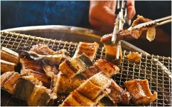 으뜸수산 고창풍천장어 생장어(손질 후 600g내외) : 고창 마켓