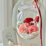 카네이션 꽃풍선 어버이날 스승의날 선물 꽃다발 용돈이벤트 로즈 : 오늘의 설렘