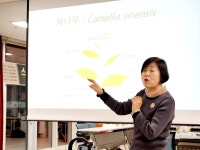 [유성관광두레 4월 프리미엄 원데이클래스] 봄날의 허브 민들레 : 언제나 고객곁의 가람컴퍼니