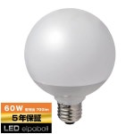 엘파 (ELPA) LED 전구 볼 G95 (구금 E26 / 60W형 5년 보증 (LDG7L-G-G2104) : 동원인터네셔널