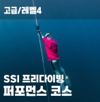 SSI 프리다이빙 퍼포먼스 고급코스 레벨4 [수원 성남 용인 오산 마스터 자격증 강습] : 프리다이빙 덕다이브