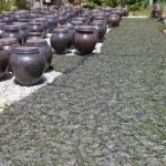 효심당 건조나물 국산 명인 질경이나물 130g : 고창 마켓