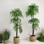 해피트리 (1M 70cm) 키큰 인테리어조화나무 도서관 학교 사무실화분 : 어나더-그린