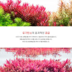NEO 부스터 플랜츠 FERTI 300ml 수초 종합 영양제 어항 액비 이탄 : 수초화원