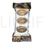 다복수산 전복 CAS로 급냉한 전복 3미 (냉동), 215g, 1팩 : SUPER SALE