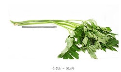 BRM연구소 무농약 신선초 750g : 건강한가족농원