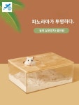 햄스터용품 샌드박스 골든 분지 하우스 햄 용기 투명 햄스터집 용품 모래 목욕 욕실 : 셀링 사피엔스