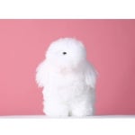 얼굴 위그 강아지 헤어 셀프 미용 연습용 도그 위그 털 : 심쿵이의 하루