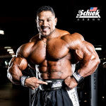 SCHIEK 2004 헬스 벨트 리프팅 복압 크로스핏 웨이트 운동 역도 시크 쉬크 블랙 : 시크코리아