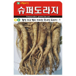 슈퍼도라지 씨앗 1000립 훨씬 크고 빨리 자라는 도라지 아람종묘 : 큰들상사
