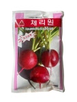 체리원씨앗 120g [24년포장] 적환무종자 대포장 방울무씨앗 30평 파종 : 씨앗하우스