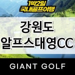 알프스대영cc 1박2일 강원도골프 : 자이언트 골프패키지