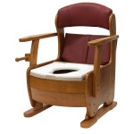 노인복지용구 이동식화장실 의료용 이동변기 APT-103 : 나눔케어