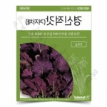 칠전몰 씨앗 경신 적갓 겨자채 쌈채소키우기 집에서상추키우기 주말농장씨앗 : 칠전스토어
