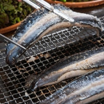 산지직송 통영 자연산 순살 바다장어 대장어 1kg : 퓨어앤라이프