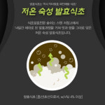 리얼 파인애플 효소 브로멜라인 아이 2통 : 월토마켓