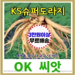 OK농장 [[도라지] KS슈퍼도라지(2000립)] 도라지씨앗, 슈퍼도라지씨앗, 종묘, 묘종, 씨앗, 채소씨앗, 꽃씨앗(KS종묘) : OK씨앗