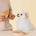 느린육포 저온건조 고양이 강아지간식 닭가슴살 슬라이스, 200g, 1개 : 뚜뚜펫