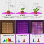 LED 식물 성장등 풀 스펙트럼 온실 하우스 사각 다육 텐트 식재등 슬림 보광등 1000W : 나비잠2