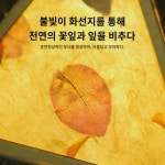 2023년 유치원 추석연휴 꽃초롱 종이 고풍초롱  diy 손발광 옥토끼꽃등 : 가크소안