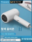 전기 드라이기 가정용 고출력 음이온 헤어케어 소출력 500w 학생 기숙사용 헤어숍 전용 송풍기 : 젠시아더