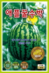 애플 꿀 수박 씨앗 종자 10립 애플수박 씨앗 : 씨앗팜