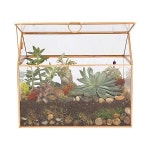 DEco Glass House 식물 테라리움 10 x 6 8 다육이 공기 이끼를 위한 실내 테이블 상판 골드 기하학 플랜터 가정 정원 사무실 장식 애호가를... 
