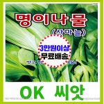 OK씨앗 [[명이] 산마늘(50립)] 명이나물씨앗, 명이씨앗, 산마늘, 산마늘씨앗, 종묘, 모종, 씨앗, 종자, 채소씨앗 : OK씨앗