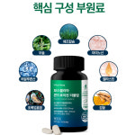 다니엘 보스웰리아 콘드로이친 더블업 600mg : 하늘빛바라기