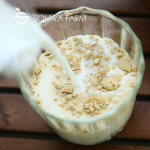 2025년 국산 청태가루 500g 청태콩 가루 : 소화농장