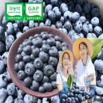 국내산 국산 생블루베리 블루베리 농장 제철 부루베리 블루베리팩 선물 맛있는 : 세이브마스터