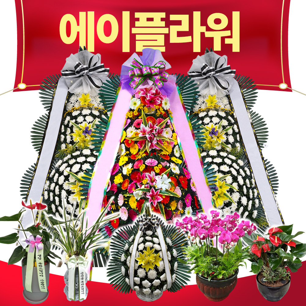 에이플러스라이프, 배우 한상진씨 등 다양한 인물들, 기관들이 근조화환 전달로 슬픔과 위로 공유 중