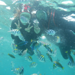 [세부] 호핑따요 호핑투어 힐루뚱안 날루수안 스노클링 낚시 바베큐점심 무제한맥주 선상파티 : 필굿투어