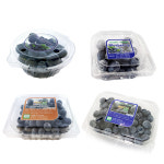 블루베리 용기 100g/250g/500g / 베리류 아로니아 딸기 방울토마토 과일용기 : 깨비농장