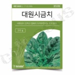 콜로서스 씨앗 대원 시금치 주말농장씨앗 집에서채소키우기 : 콜로서스토어