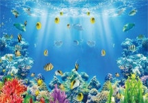 바다 수중 세계 수족관 배경 생일 산호 사진 베이비 샤워 신생아 배너 : 플릭유통