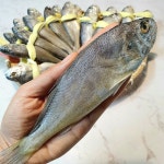 [평점4.9] 법성포 영광굴비 프리미엄 명품 선물세트1.4kg 10미 부모님 선물 : 주영광굴비수산