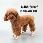 개 붕대 바인딩 레깅스 소형 보호대 고양이 탄력 긁힘 : 킴스백화점