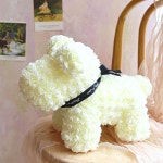 로즈퍼피 (L) 시들지 않는 꽃다발 강아지 인형 여자친구 선물 : 템x템